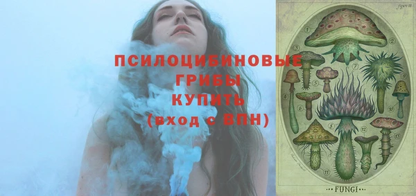 индика Алзамай