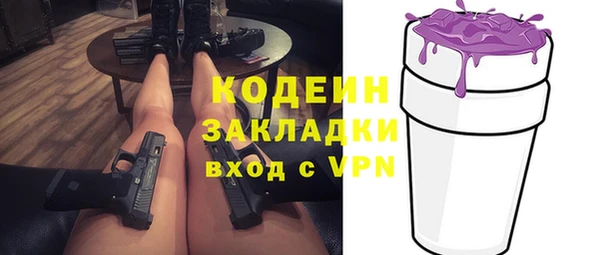 индика Алзамай