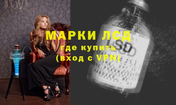индика Алзамай